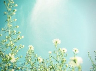 汗管瘤克星-中医智能分子疗法 淋巴瘤免疫化疗乙型肝炎病毒再激活预防和治疗